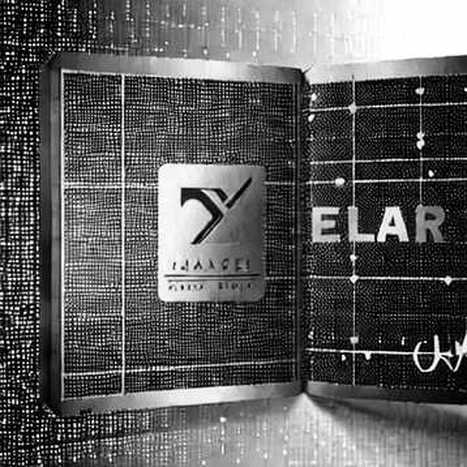 Khi Hamas đổi lãnh đạo, thị trường crypto không hề lay động: Sự thờ ơ hay định giá hoàn hảo?